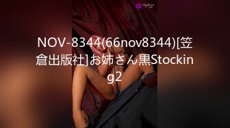 NOV-8344(66nov8344)[笠倉出版社]お姉さん黒Stocking2