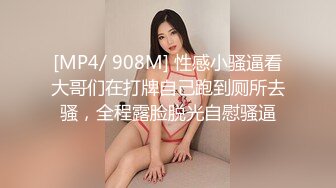 【AV佳丽】天生巨乳小野野操她的姐夫