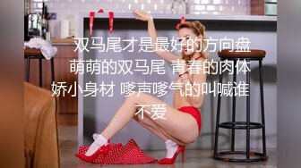 ❤️双马尾才是最好的方向盘❤️萌萌的双马尾 青春的肉体 娇小身材 嗲声嗲气的叫喊谁不爱