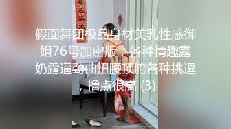 假面舞团极品身材美乳性感御姐76号加密版，各种情趣露奶露逼劲曲扭腰顶胯各种挑逗，撸点很高 (3)