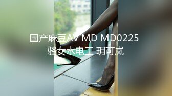 国产麻豆AV MD MD0225 骚女水电工 玥可岚