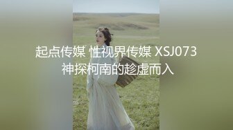 起点传媒 性视界传媒 XSJ073 神探柯南的趁虚而入