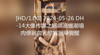 [HD/1.0G] 2024-05-26 DH-14大像传媒之綑綁滴蠟潮噴肉便器白乳慾奴訓練覺醒