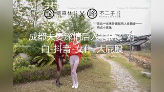 成都夫妻深情后入.-眼镜-对白-抖音-女仆-大屁股