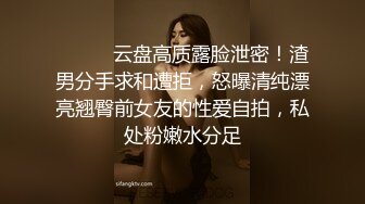 涩会传媒SH004《我的嫂子是妓女》漂亮嫂子无法忘 嫖娼意外从天降 新人女优 韩梦嫣