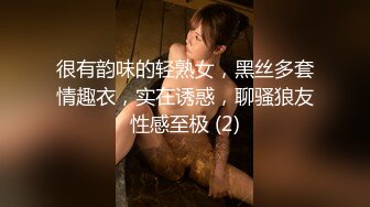 很有韵味的轻熟女，黑丝多套情趣衣，实在诱惑，聊骚狼友性感至极 (2)