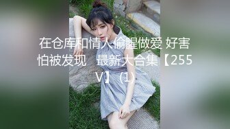 在仓库和情人偷腥做爱 好害怕被发现   最新大合集【255V】 (1)