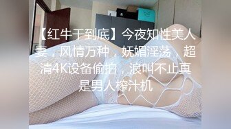 【红牛干到底】今夜知性美人妻，风情万种，妩媚淫荡，超清4K设备偷拍，浪叫不止真是男人榨汁机