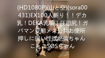 (HD1080P)(山と空)(sora00431)EX100人斬り！！デカ乳！DEKA乳輪！圧迫尻！ガバマン変態メス公共お便所 押しに弱い性欲絶倫ちゃん ことこSOSちゃん